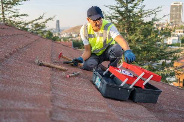 Best Same-Day Junk Removal Services  in Gonzales, TX